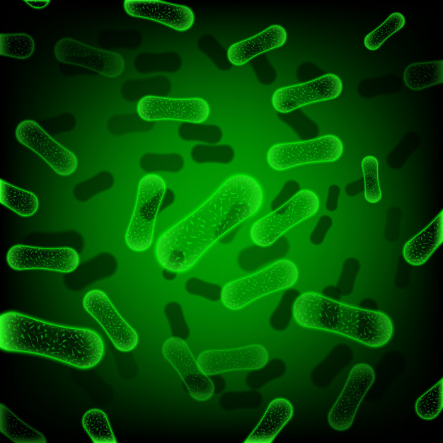 green rod shaped bacteria 1262 7376 - Dies sind die häufigsten Ursachen für Arzneimittelresistenzen