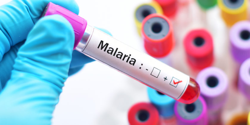 Malaria