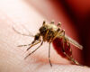 shutterstock 1896812266 100x80 - Der perfekte Zeitpunkt für Ihre Malaria-Prophylaxe