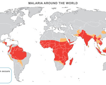 shutterstock 235538464 350x280 - Malaria in 2025: Globale Risikogebiete, aktuelle Ausbreitungskarte