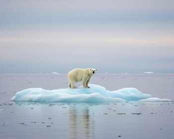 shutterstock 2630723611 350x280 - Malaria Und Klimawandel